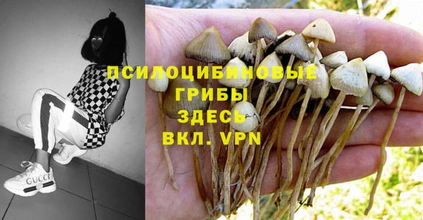 марихуана Медвежьегорск