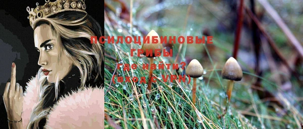 мдпв Лиски