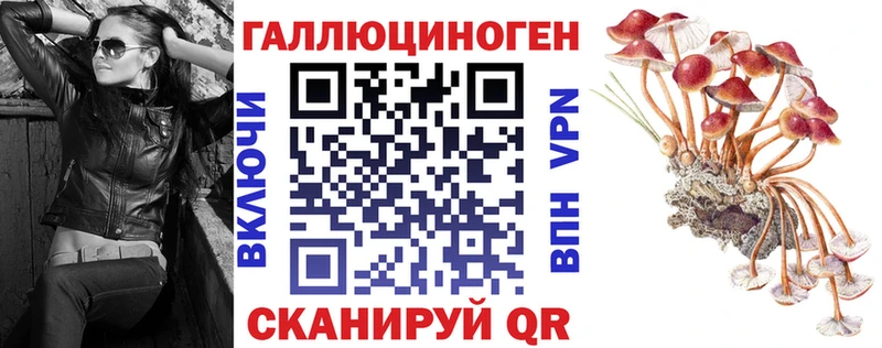 Псилоцибиновые грибы Cubensis  Талдом 