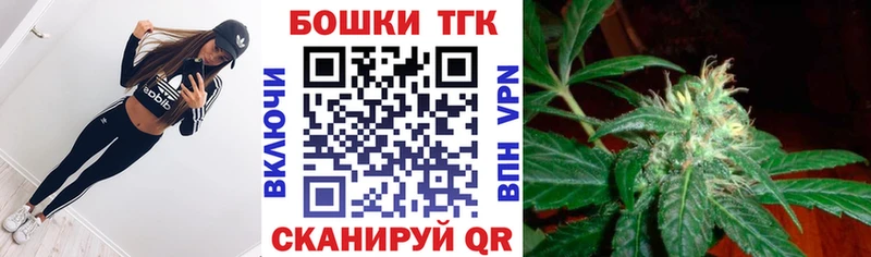 где можно купить   Талдом  Каннабис гибрид 